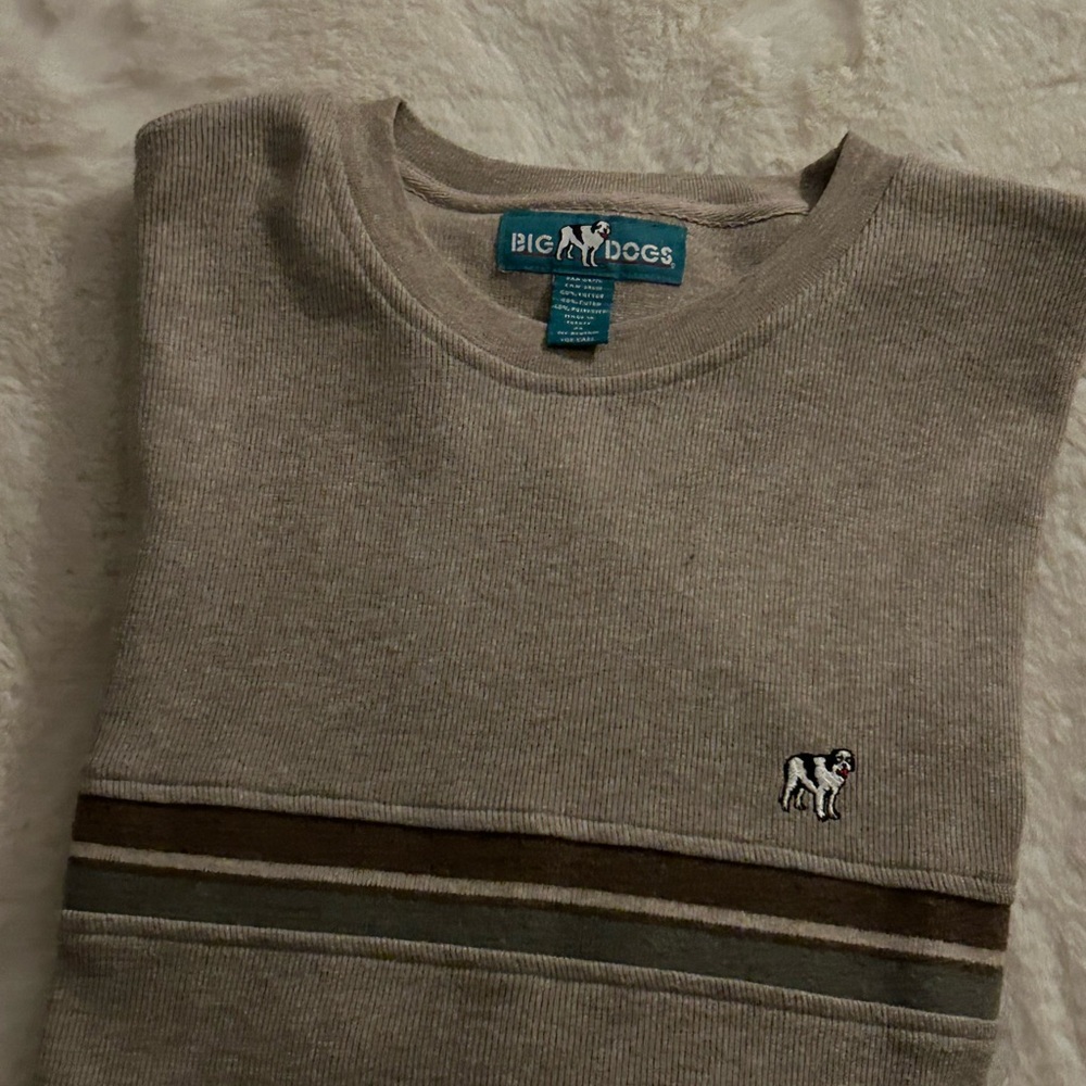 Big Dogs Men's Beige Sweater